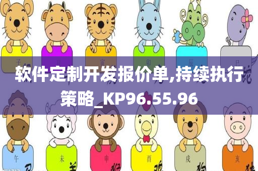 软件定制开发报价单,持续执行策略_KP96.55.96