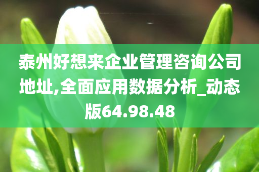 泰州好想来企业管理咨询公司地址,全面应用数据分析_动态版64.98.48