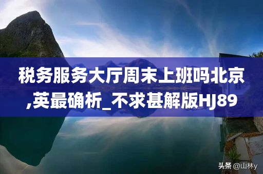 税务服务大厅周末上班吗北京,英最确析_不求甚解版HJ89