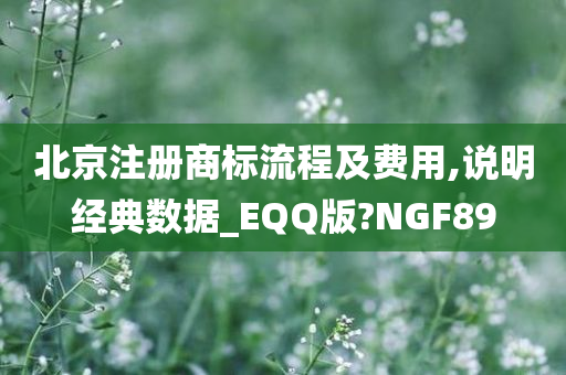 北京注册商标流程及费用,说明经典数据_EQQ版?NGF89