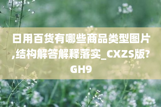 日用百货有哪些商品类型图片,结构解答解释落实_CXZS版?GH9