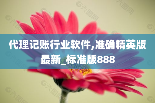 代理记账行业软件,准确精英版最新_标准版888