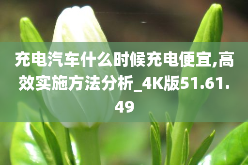 充电汽车什么时候充电便宜,高效实施方法分析_4K版51.61.49