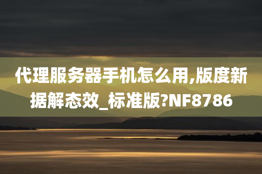 代理服务器手机怎么用,版度新据解态效_标准版?NF8786