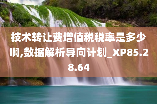 技术转让费增值税税率是多少啊,数据解析导向计划_XP85.28.64