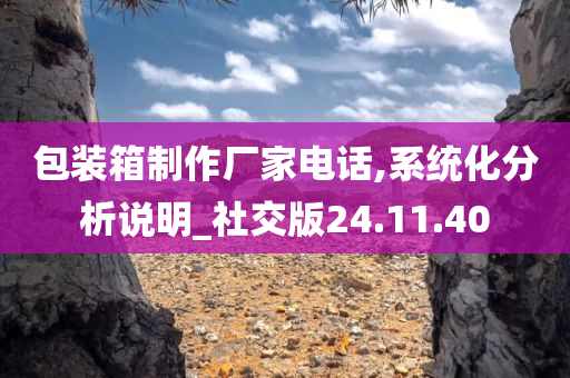 包装箱制作厂家电话,系统化分析说明_社交版24.11.40