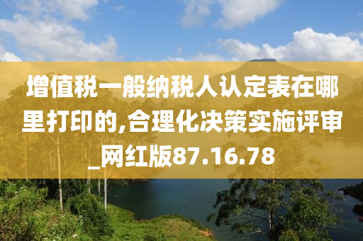 增值税一般纳税人认定表在哪里打印的,合理化决策实施评审_网红版87.16.78