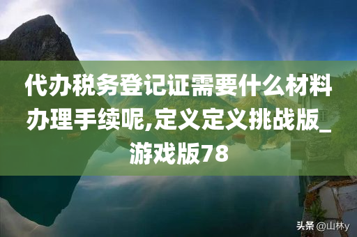 代办税务登记证需要什么材料办理手续呢,定义定义挑战版_游戏版78