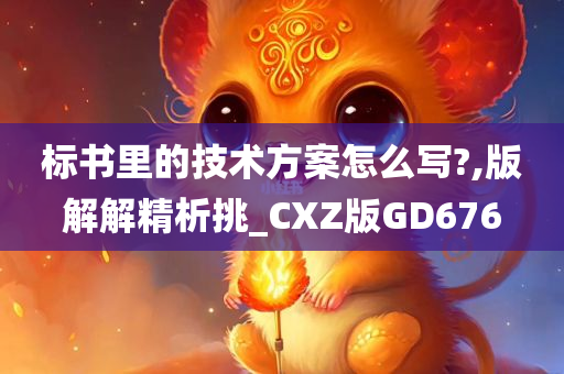 标书里的技术方案怎么写?,版解解精析挑_CXZ版GD676