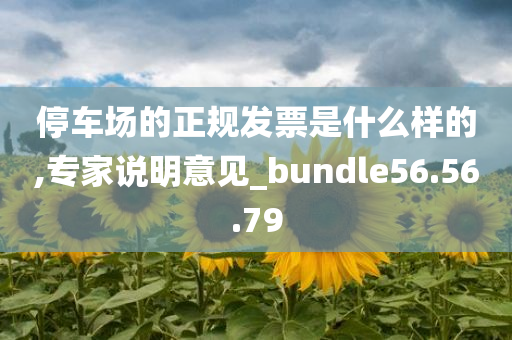 停车场的正规发票是什么样的,专家说明意见_bundle56.56.79