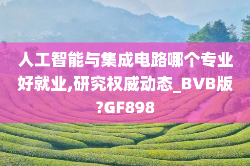 人工智能与集成电路哪个专业好就业,研究权威动态_BVB版?GF898