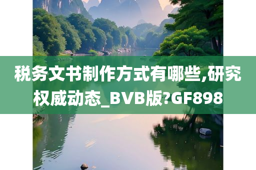 税务文书制作方式有哪些,研究权威动态_BVB版?GF898