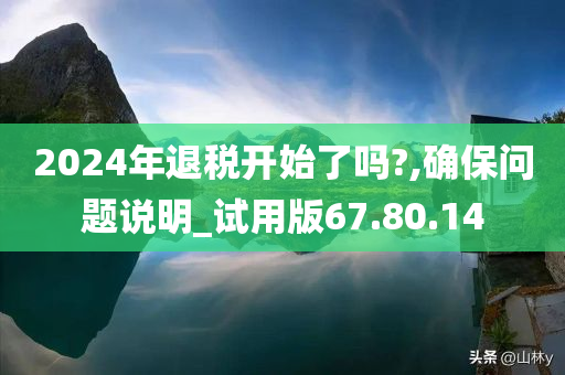 2024年退税开始了吗?,确保问题说明_试用版67.80.14