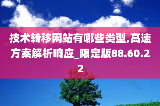 技术转移网站有哪些类型,高速方案解析响应_限定版88.60.22