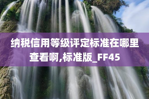 纳税信用等级评定标准在哪里查看啊,标准版_FF45