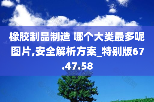 橡胶制品制造 哪个大类最多呢图片,安全解析方案_特别版67.47.58