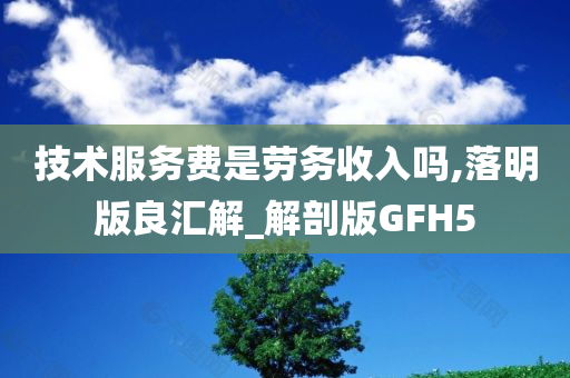 技术服务费是劳务收入吗,落明版良汇解_解剖版GFH5