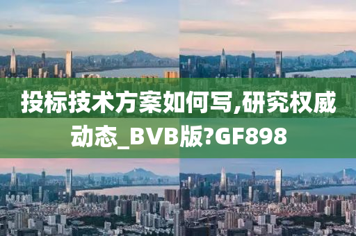 投标技术方案如何写,研究权威动态_BVB版?GF898