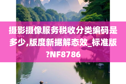 摄影摄像服务税收分类编码是多少,版度新据解态效_标准版?NF8786