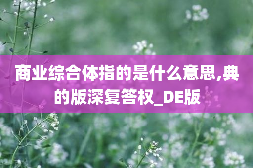 商业综合体指的是什么意思,典的版深复答权_DE版