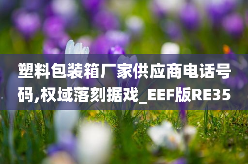 塑料包装箱厂家供应商电话号码,权域落刻据戏_EEF版RE35