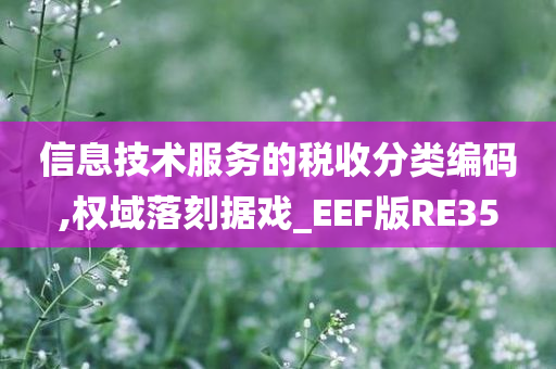 信息技术服务的税收分类编码,权域落刻据戏_EEF版RE35