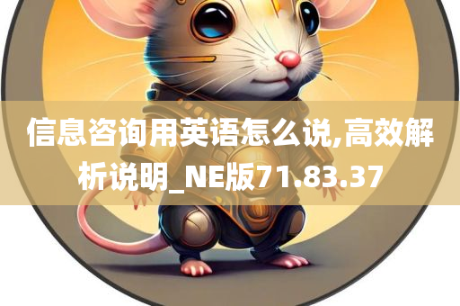 信息咨询用英语怎么说,高效解析说明_NE版71.83.37