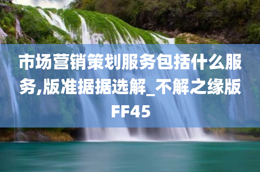 市场营销策划服务包括什么服务,版准据据选解_不解之缘版FF45