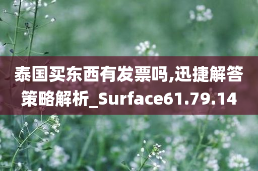 泰国买东西有发票吗,迅捷解答策略解析_Surface61.79.14