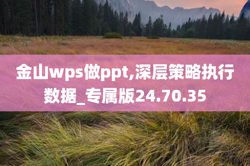 金山wps做ppt,深层策略执行数据_专属版24.70.35