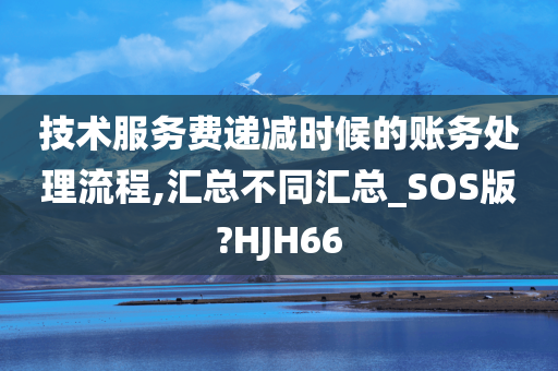 技术服务费递减时候的账务处理流程,汇总不同汇总_SOS版?HJH66