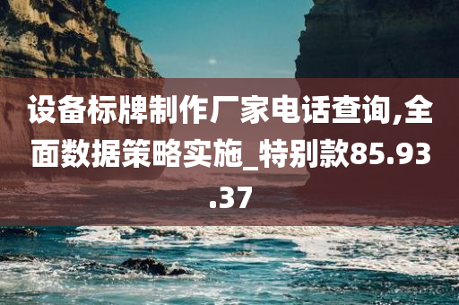 设备标牌制作厂家电话查询,全面数据策略实施_特别款85.93.37