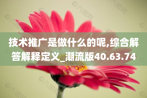 技术推广是做什么的呢,综合解答解释定义_潮流版40.63.74