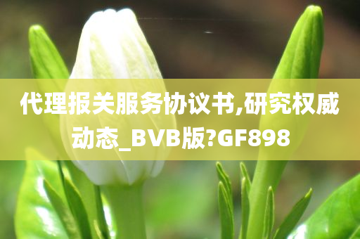 代理报关服务协议书,研究权威动态_BVB版?GF898