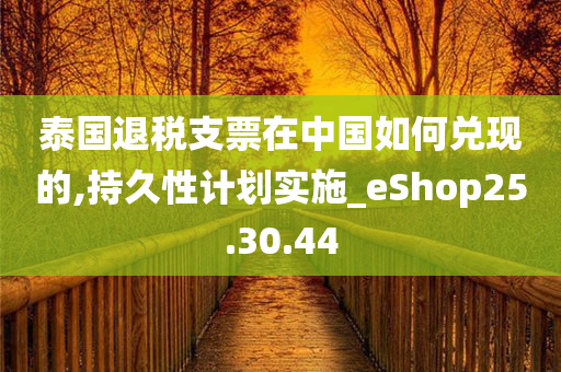 泰国退税支票在中国如何兑现的,持久性计划实施_eShop25.30.44