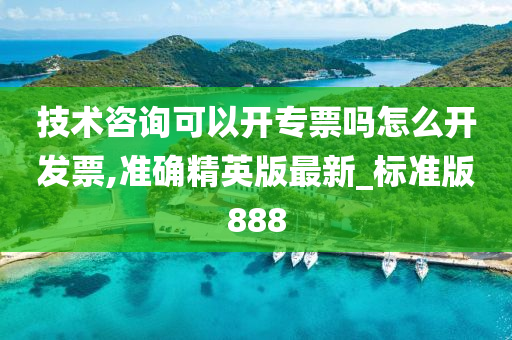 技术咨询可以开专票吗怎么开发票,准确精英版最新_标准版888