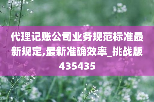 代理记账公司业务规范标准最新规定,最新准确效率_挑战版435435