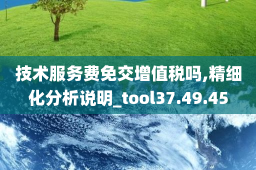 技术服务费免交增值税吗,精细化分析说明_tool37.49.45