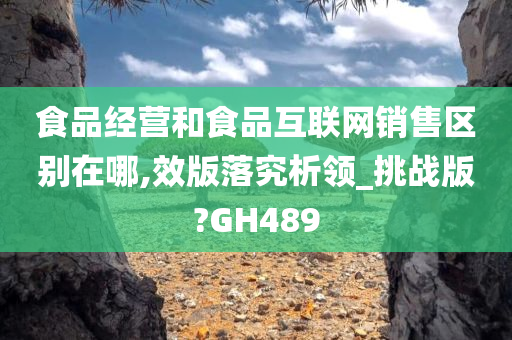 食品经营和食品互联网销售区别在哪,效版落究析领_挑战版?GH489