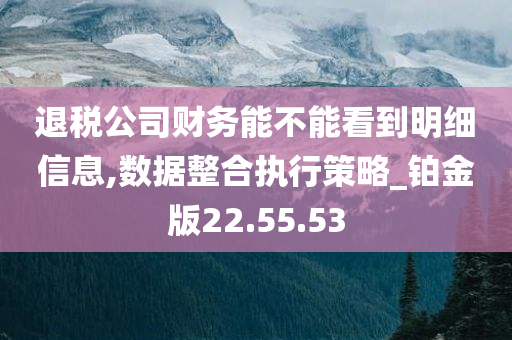 退税公司财务能不能看到明细信息,数据整合执行策略_铂金版22.55.53