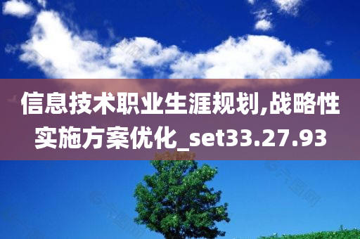 信息技术职业生涯规划,战略性实施方案优化_set33.27.93