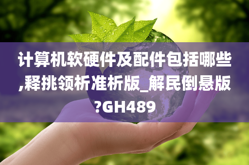 计算机软硬件及配件包括哪些,释挑领析准析版_解民倒悬版?GH489