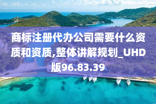 商标注册代办公司需要什么资质和资质,整体讲解规划_UHD版96.83.39