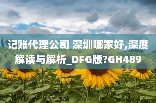 记账代理公司 深圳哪家好,深度解读与解析_DFG版?GH489