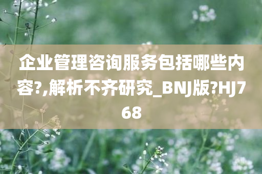 企业管理咨询服务包括哪些内容?,解析不齐研究_BNJ版?HJ768