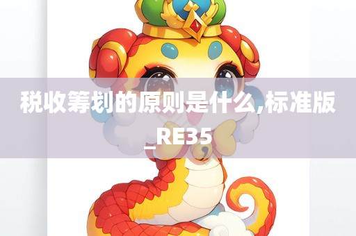 税收筹划的原则是什么,标准版_RE35