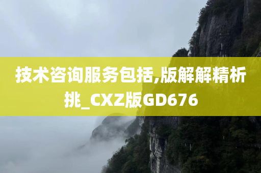 技术咨询服务包括,版解解精析挑_CXZ版GD676