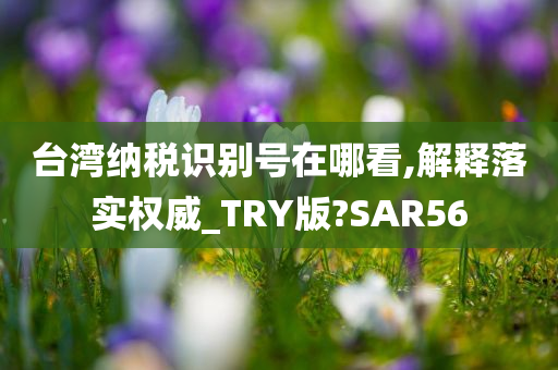 台湾纳税识别号在哪看,解释落实权威_TRY版?SAR56