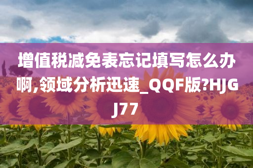 增值税减免表忘记填写怎么办啊,领域分析迅速_QQF版?HJGJ77