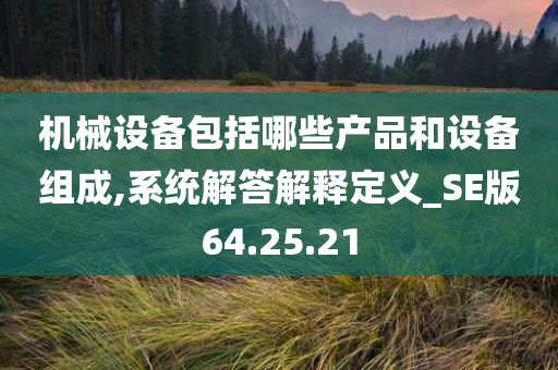 机械设备包括哪些产品和设备组成,系统解答解释定义_SE版64.25.21